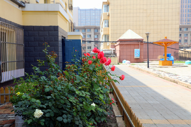 新城区花园园林绿化规划,空中花园新城区