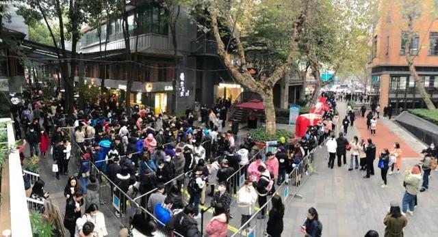 “做头发”做到破产，她这人间富贵花太惨了