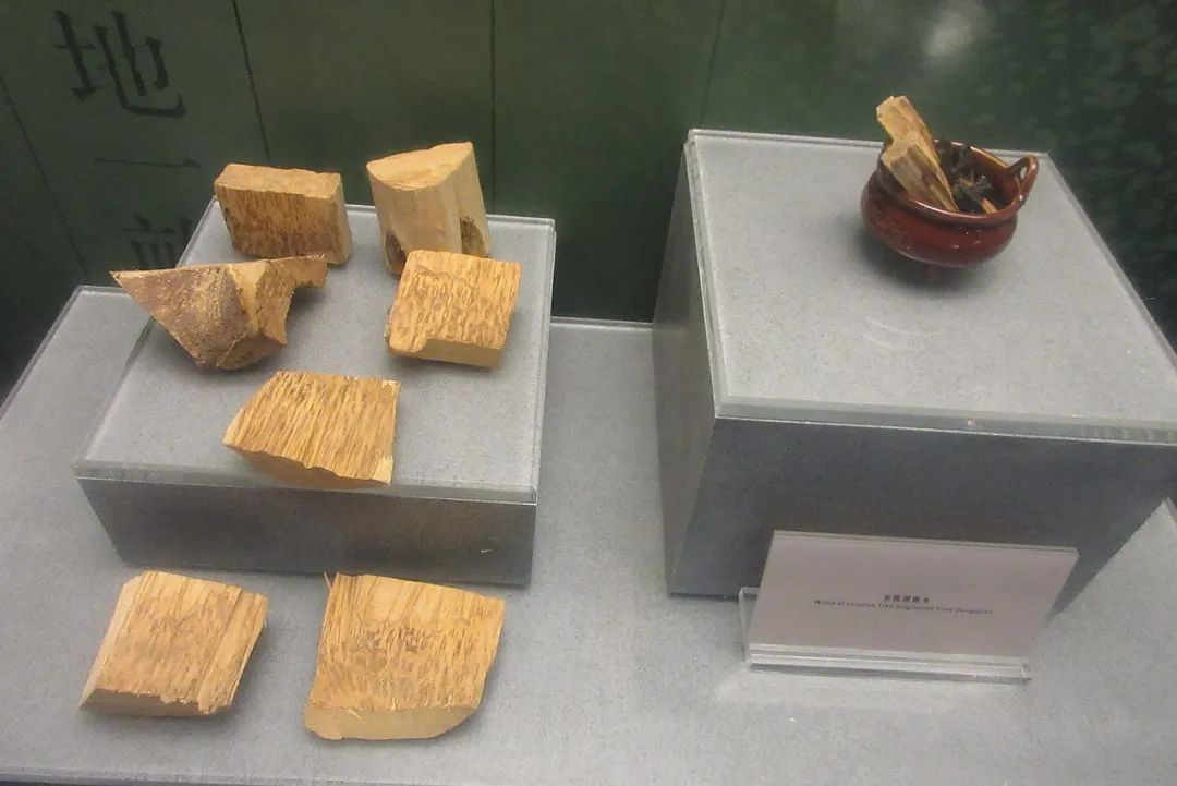 不砍头，怎么测出头的质量？|趣问万物