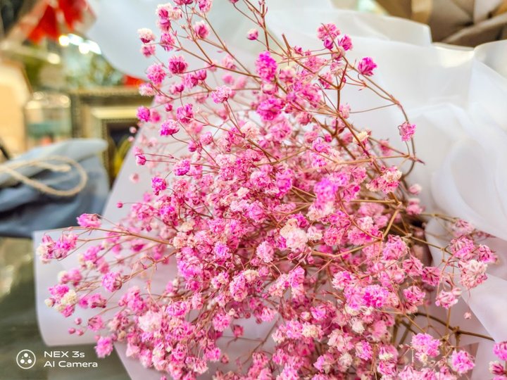 vivonex3带你体验5g速度,vivonex3参数配置详细