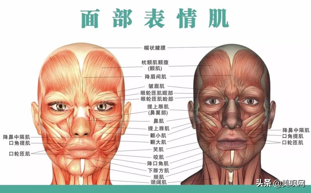 朴宝剑最新片段,朴宝剑精彩集锦
