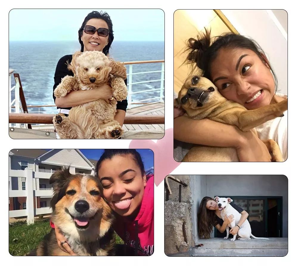 苏州2019宠物展,苏州宠物展2021免费领取门票