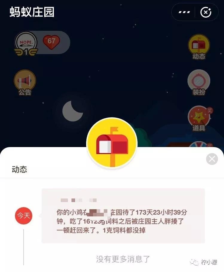 和男朋友分手了他跑来我的城市,和男朋友分手后跑去蚂蚁庄园