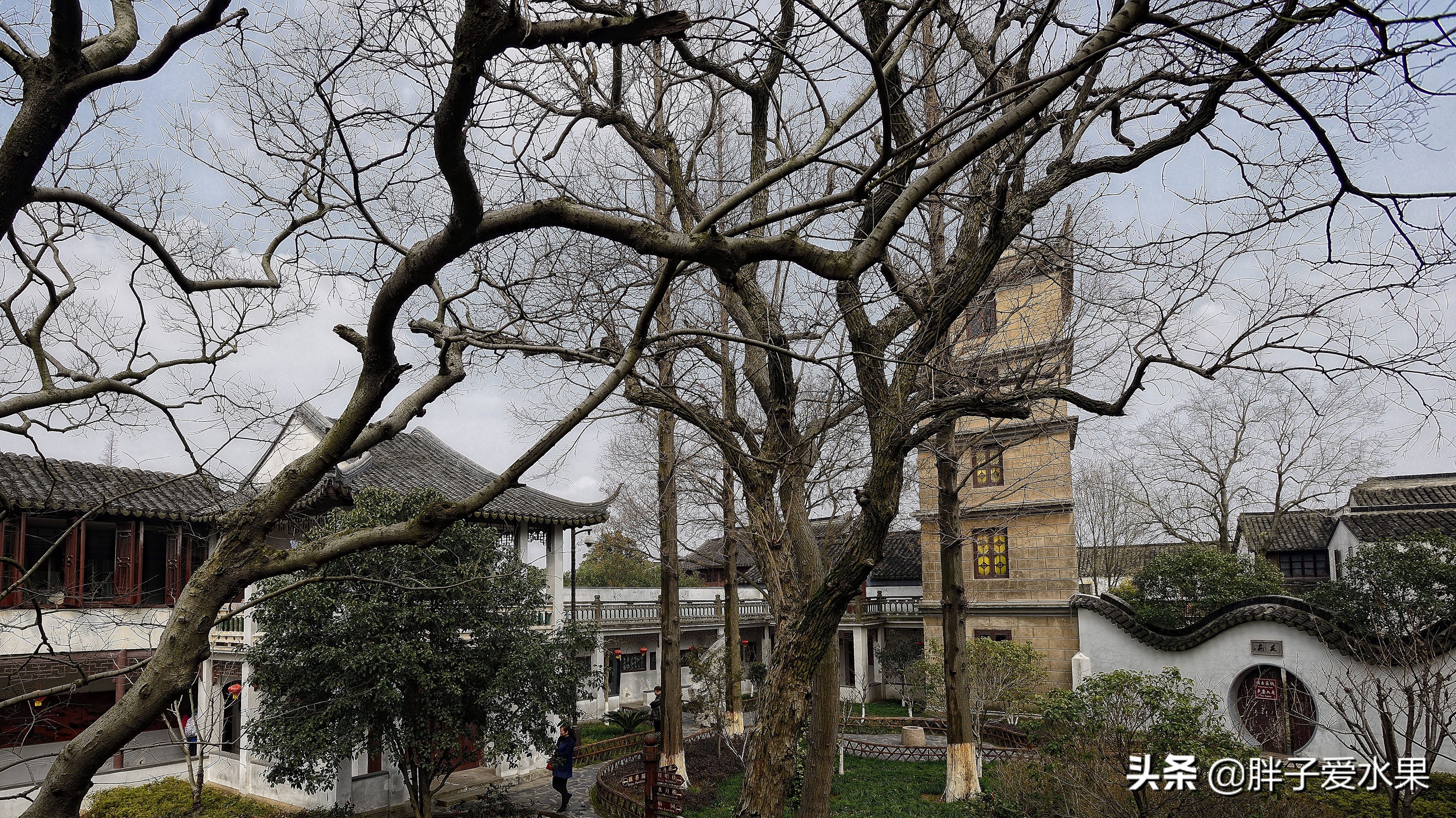 游览江南第一古镇朱家角,江南古镇朱家角一日游