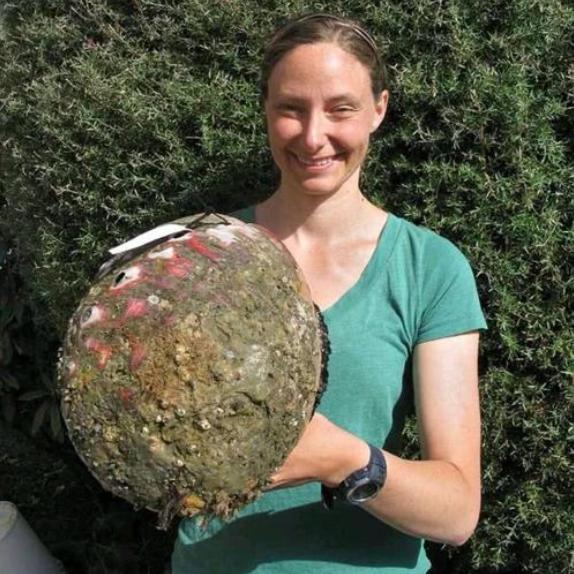 世界五大顶级海鲜,全球奢侈海鲜象拔蚌