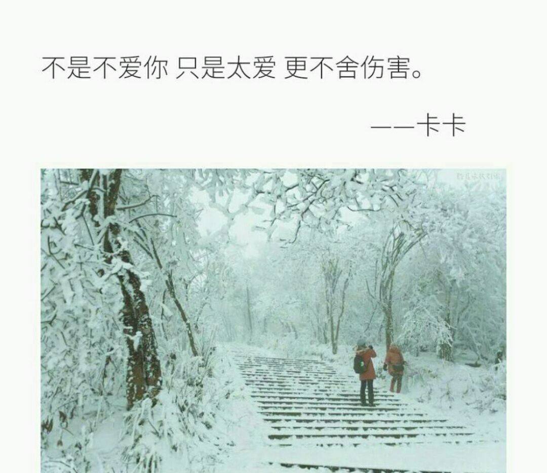 《亿万老婆买一送一》的系列文《总裁的替身前妻》，基因真强大！