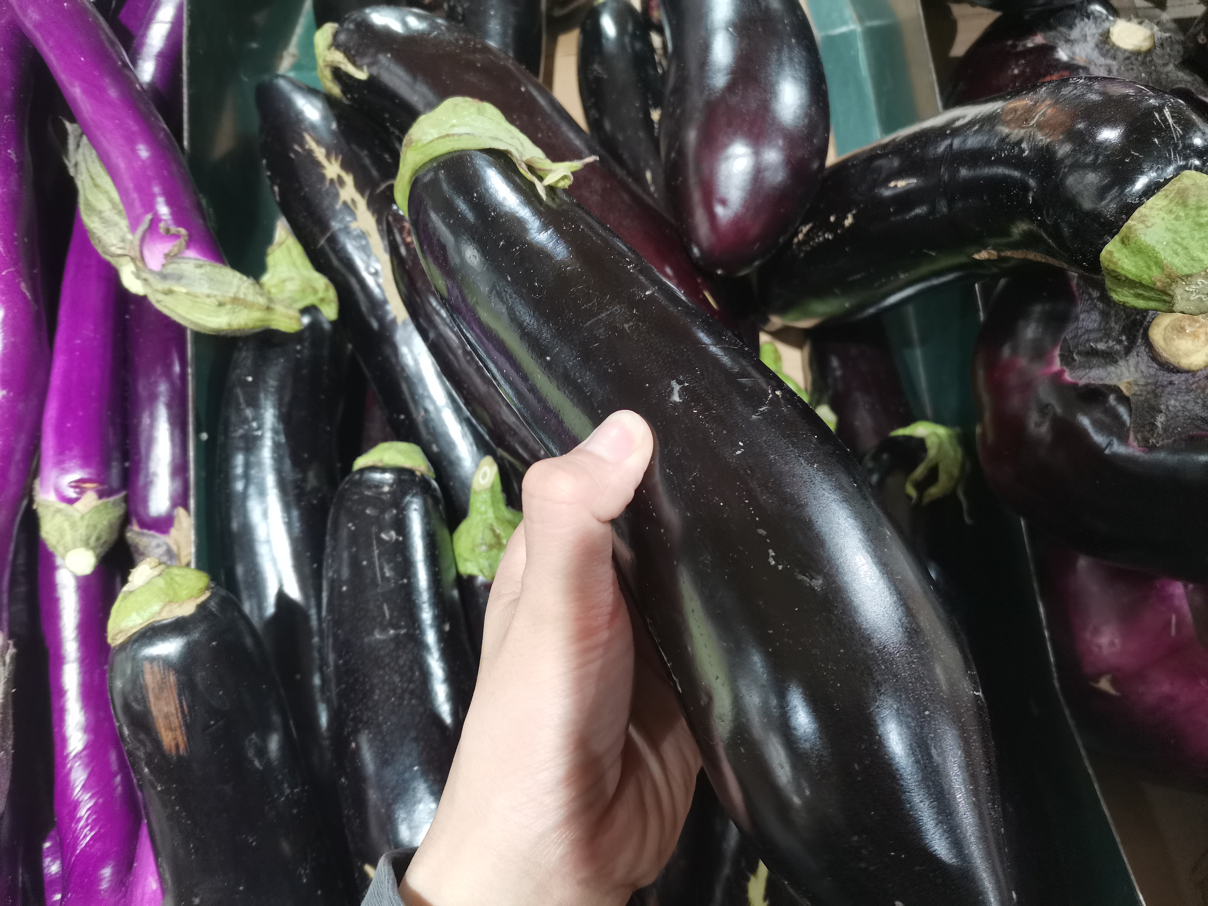 买茄子挑弯的还是直的,如何辨别茄子的成熟度