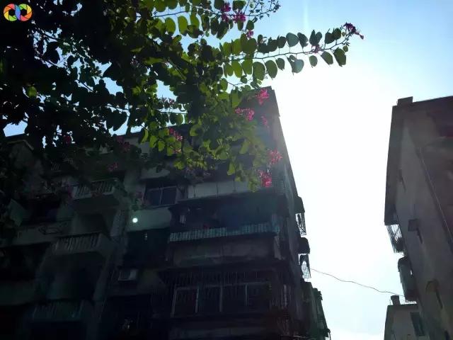 从平安路到桃园路的旧街，独属于老香洲的记忆