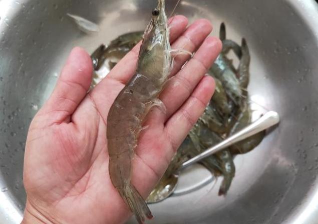 大虾怎样保存等到冬天吃比较新鲜,吃不完的新鲜大虾如何保存