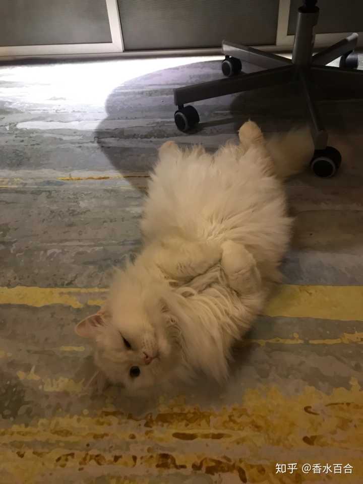 买了高层的人怎么样了,买了顶楼的房子后悔了吗