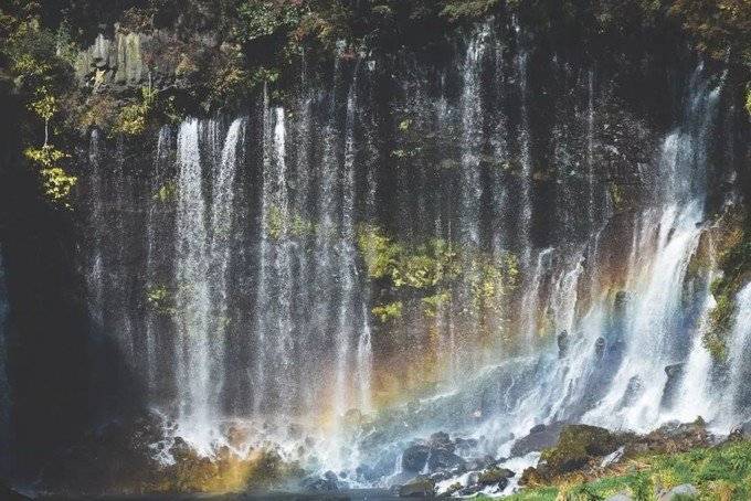 和大家一样去了大阪，但我不想随波逐流