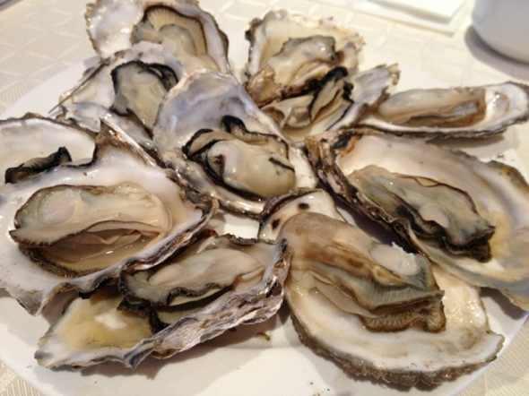 韶关哪里有生蚝吃,韶关市去哪里能吃到好的海鲜