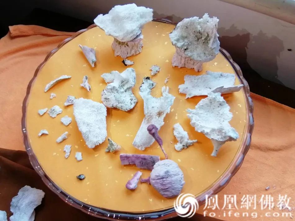 普正法师生平事迹,普正法师事迹简介