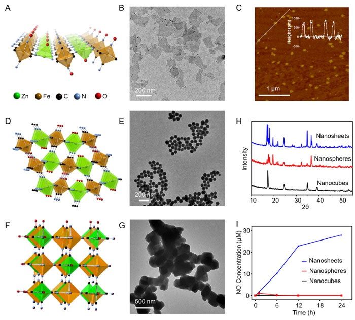刘庄团队：自激发二维纳米材料，增强核素-免疫联合治疗