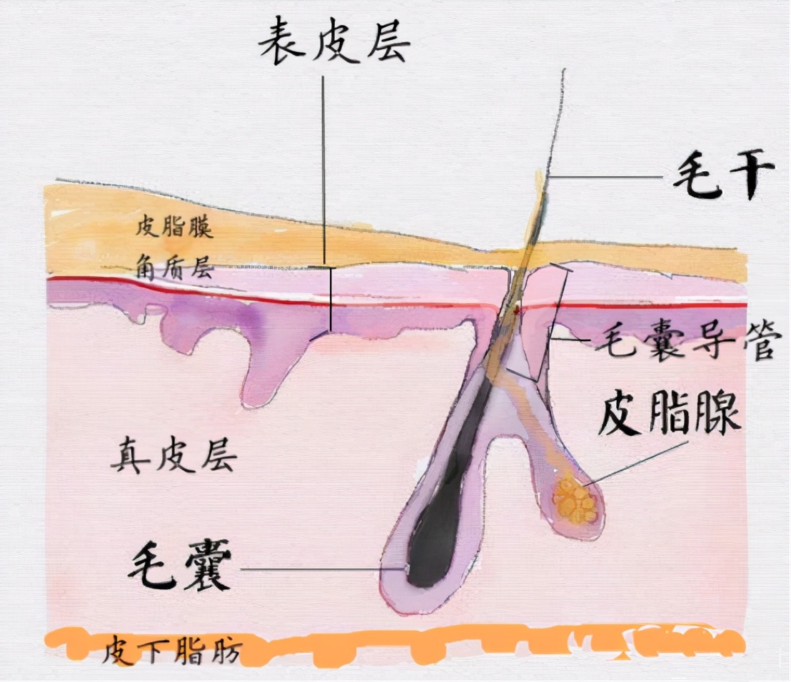护肤界十大智商税,药学博士十大骗局