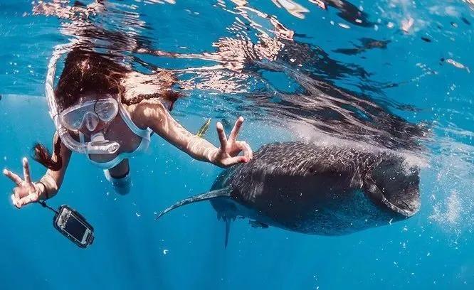 疫情期干点啥好挣钱,疫情期做什么