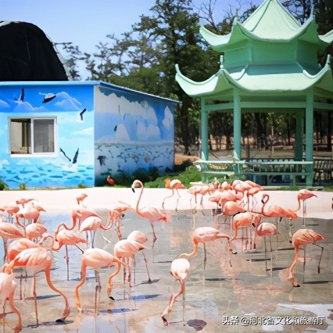 11月北戴河一日游最佳攻略,北戴河假期去哪里玩