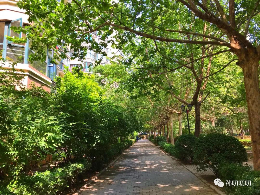 珠江骏景房子值得买吗,南三环珠江骏景