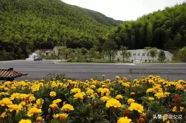 开挂名场面霸气侧漏,开挂帅气视频