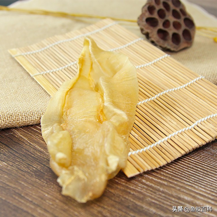 北海公胶与黄花胶哪个胶质好,即食花胶鱼胶食用方法