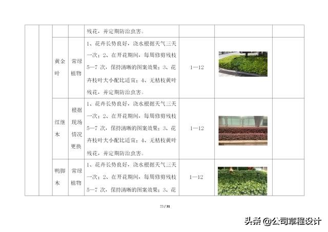 写字楼运营管理体系,写字楼精细化服务
