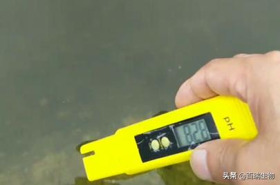 酸爽降解毒素,酸爽解毒