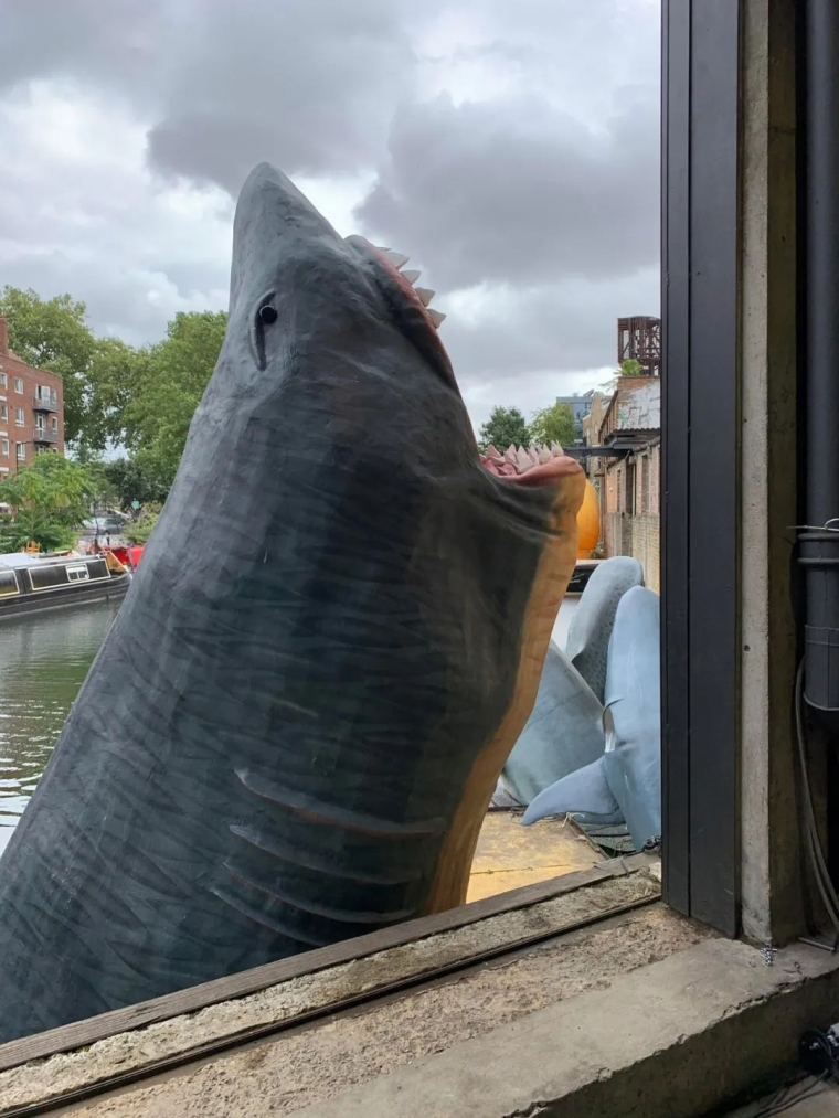 长成这个样子的厕所，我猜你一定没见过