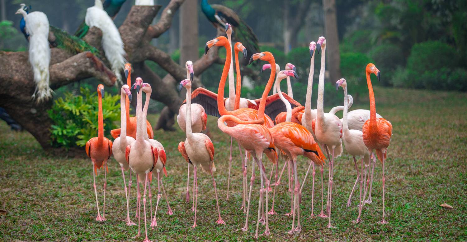 春节广州周边温泉游攻略,自由行广州温泉旅游攻略