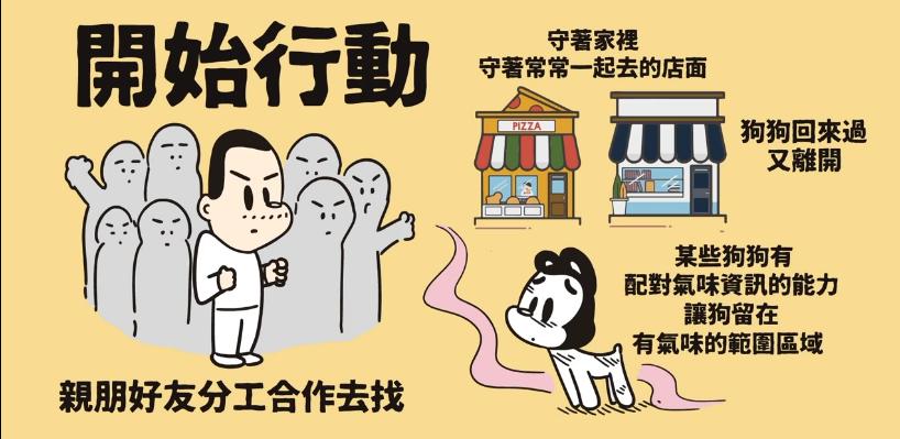 宠物狗走丢了一般怎么找回,在哪里寻找走丢的狗狗最有效