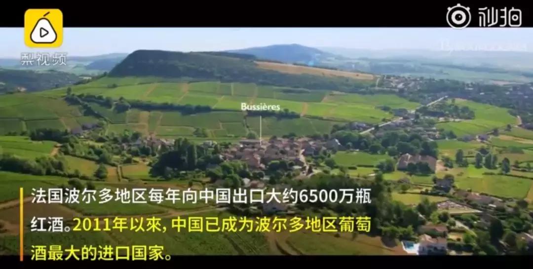 赵薇的法国酒庄现在啥样,赵薇法国酒庄