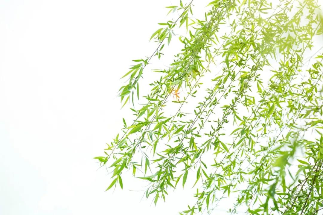 二十四史名言及解注,二十四史经典佳句30则受益终生