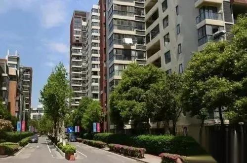 光谷四初喜报名单,光谷中考喜报名单