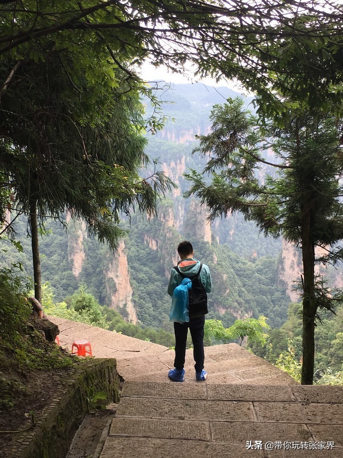 到张家界天门山自助游价格多少钱,武汉到张家界天门山三日游