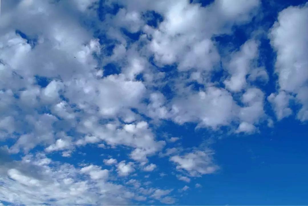 倪海厦临床医案解说,倪海厦看病十问十诊总结