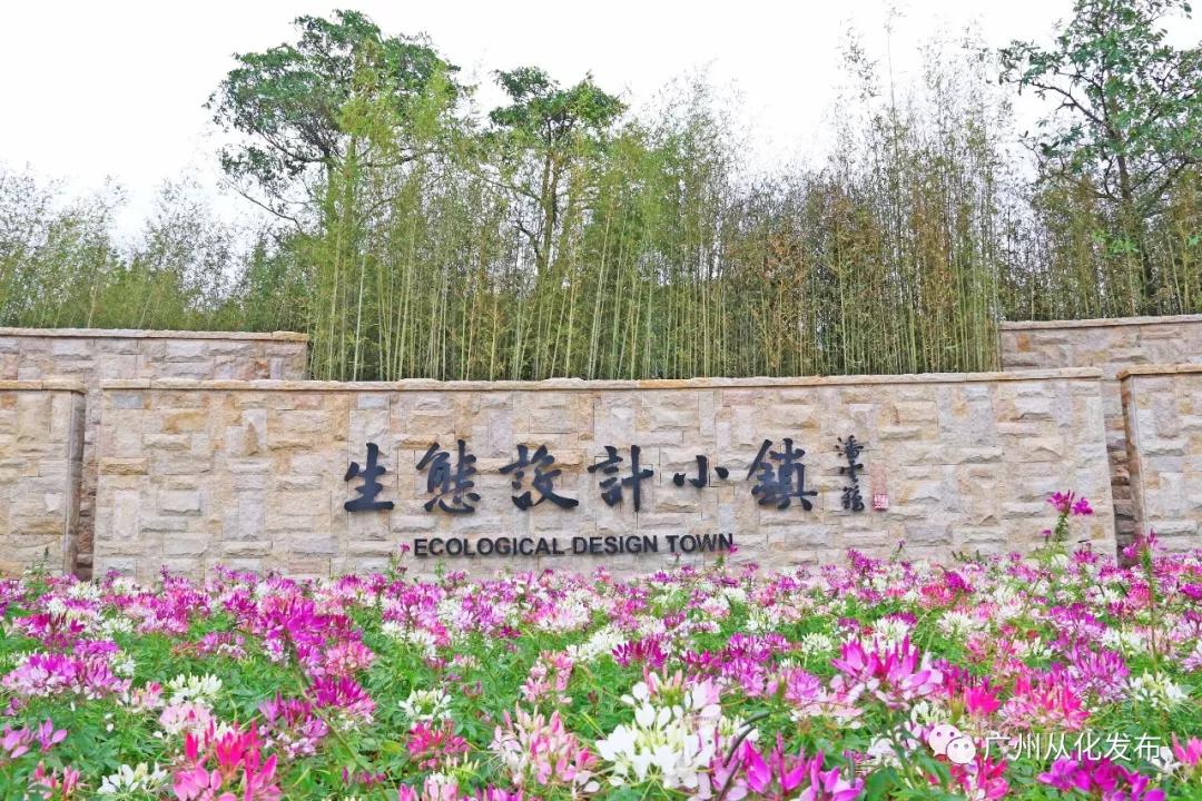 广州cbn越野跑,ch50广州从化越野挑战赛2020