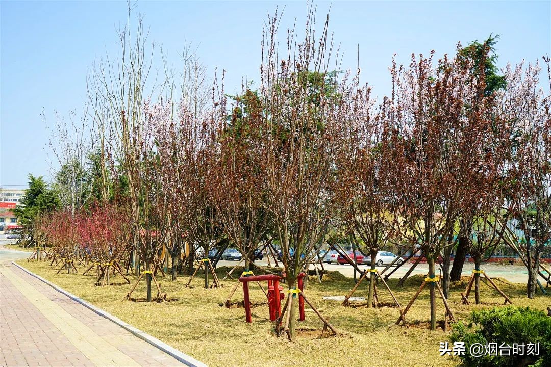 兰州民生工程最新进展,重点民生项目进展清单