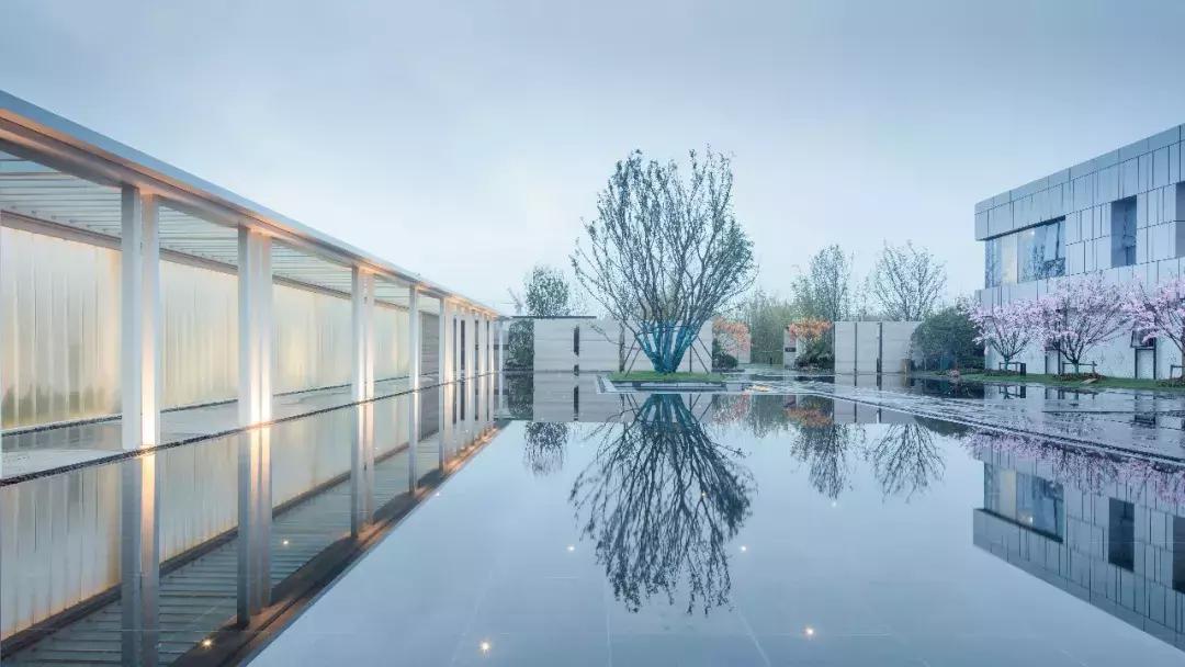 盘点郑州这些C位出道的热盘