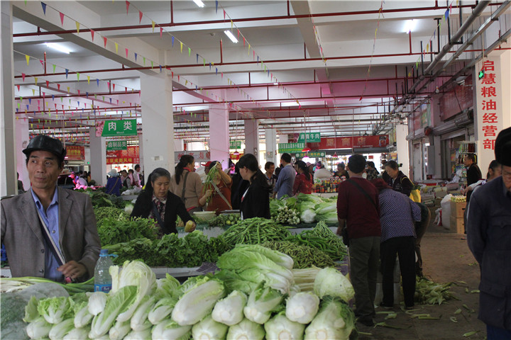 楚雄东南新城栗子园,楚雄栗子园规划