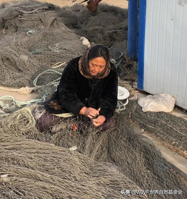 大连海兽馆,大连海兽