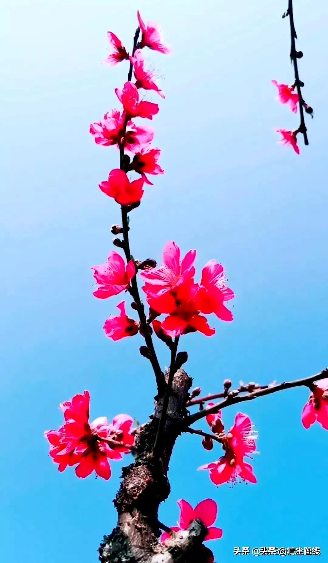 *访上**不当也会违法的（详解）