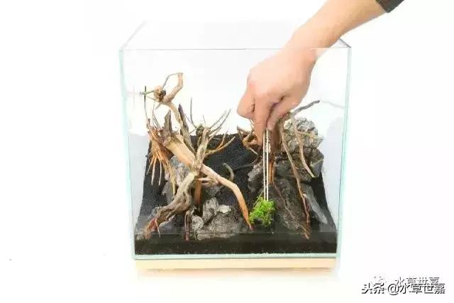 30cm小缸青龙石造景大全,30cm长缸原生溪流缸造景