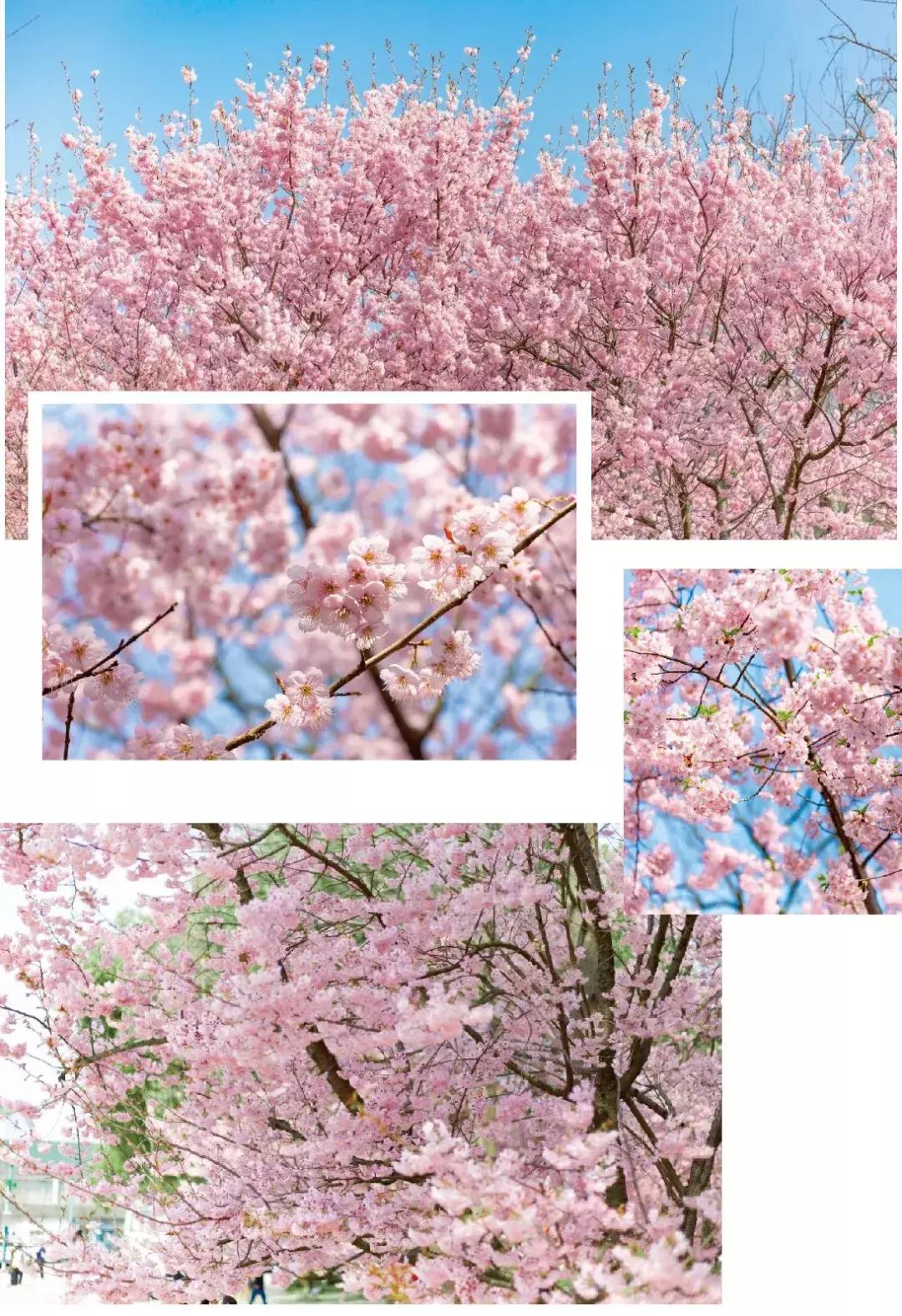 三天上海周边自驾游,魔都周边一日自驾游