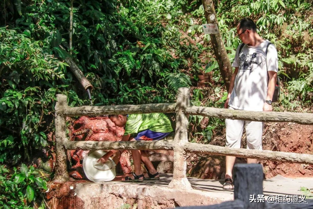 赤水大瀑布 侏罗纪公园 (贵州赤水侏罗纪公园攻略)