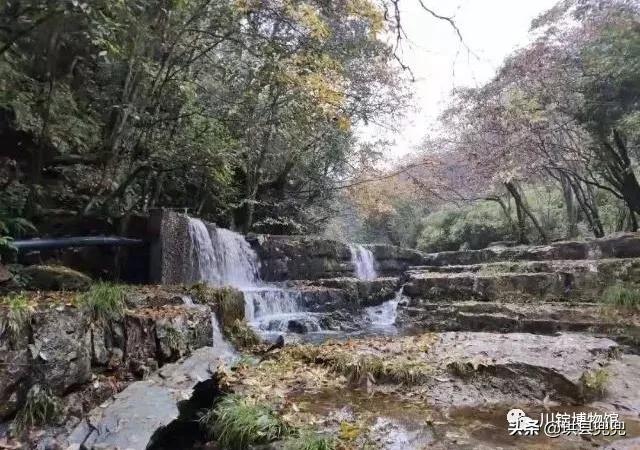 筠连水粉制作,筠连县感人故事