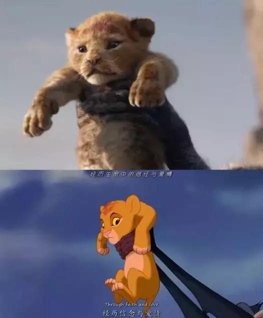 为什么每个人都要看一遍狮子王,狮子王主要告诉我们什么道理呢