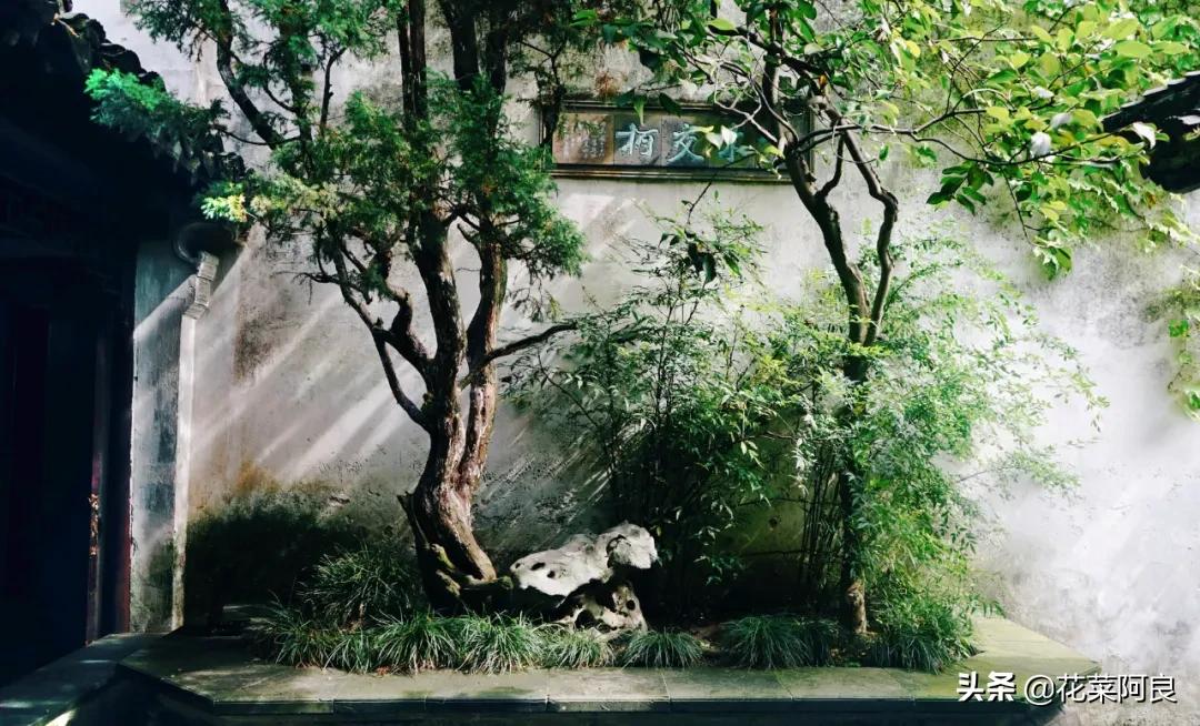 留园拙政园哪个景色好,留园和拙政园