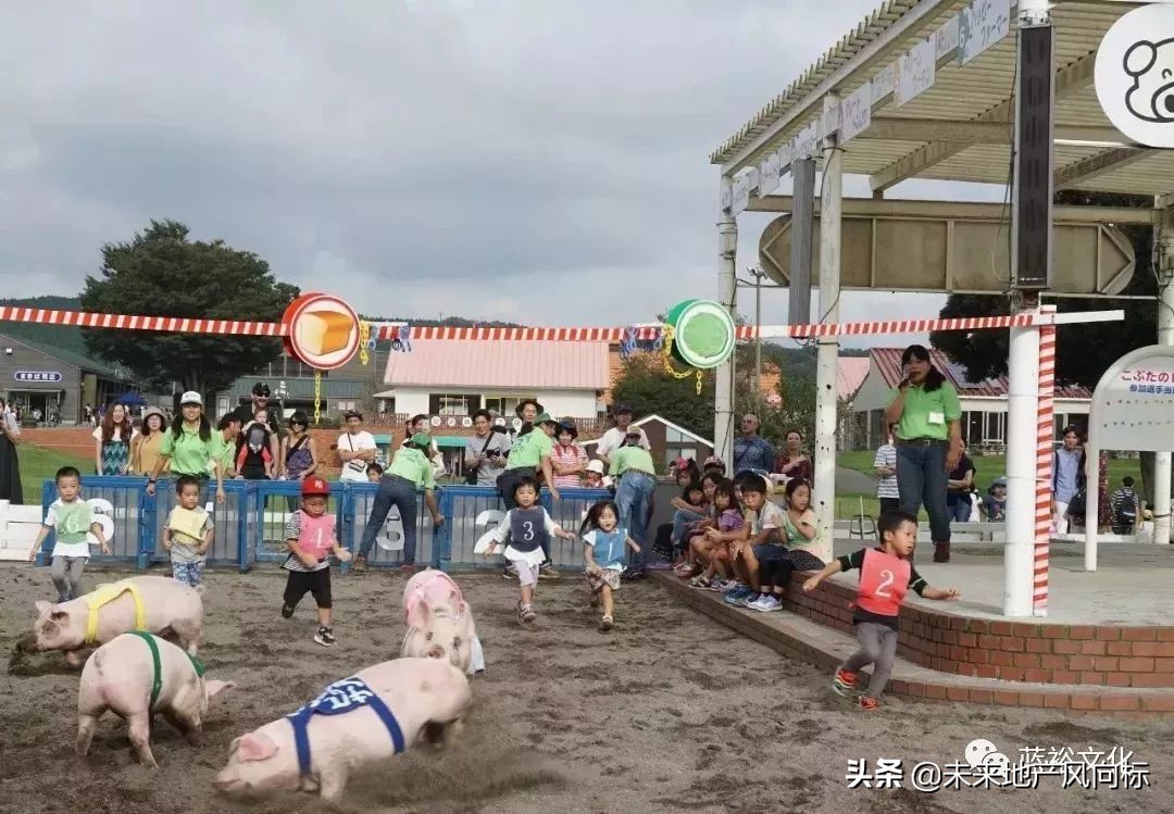 母亲牧场要玩多久,低成本花园家庭农场亲子乐园