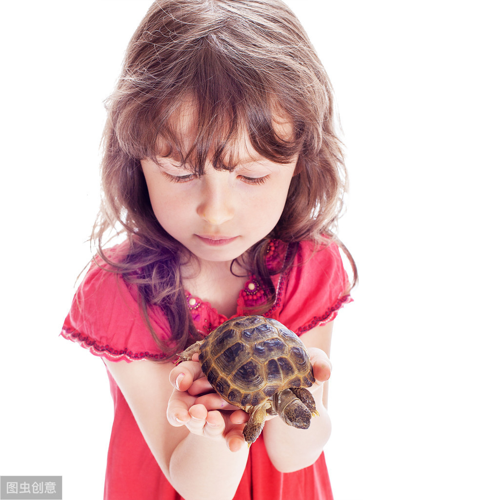 家有宝宝适合养什么宠物,该不该给宝宝养宠物呢