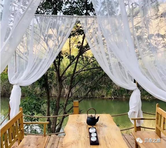 郑州赏荷花攻略,中国赏荷必去的地方