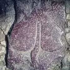 这些秘密你都知道吗,这些秘密你们都知道了吗